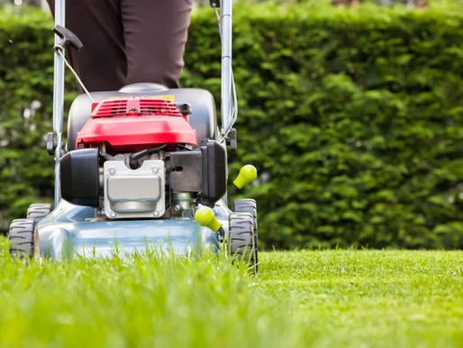 6 Tips on Mowing Your Lawn the Right Way