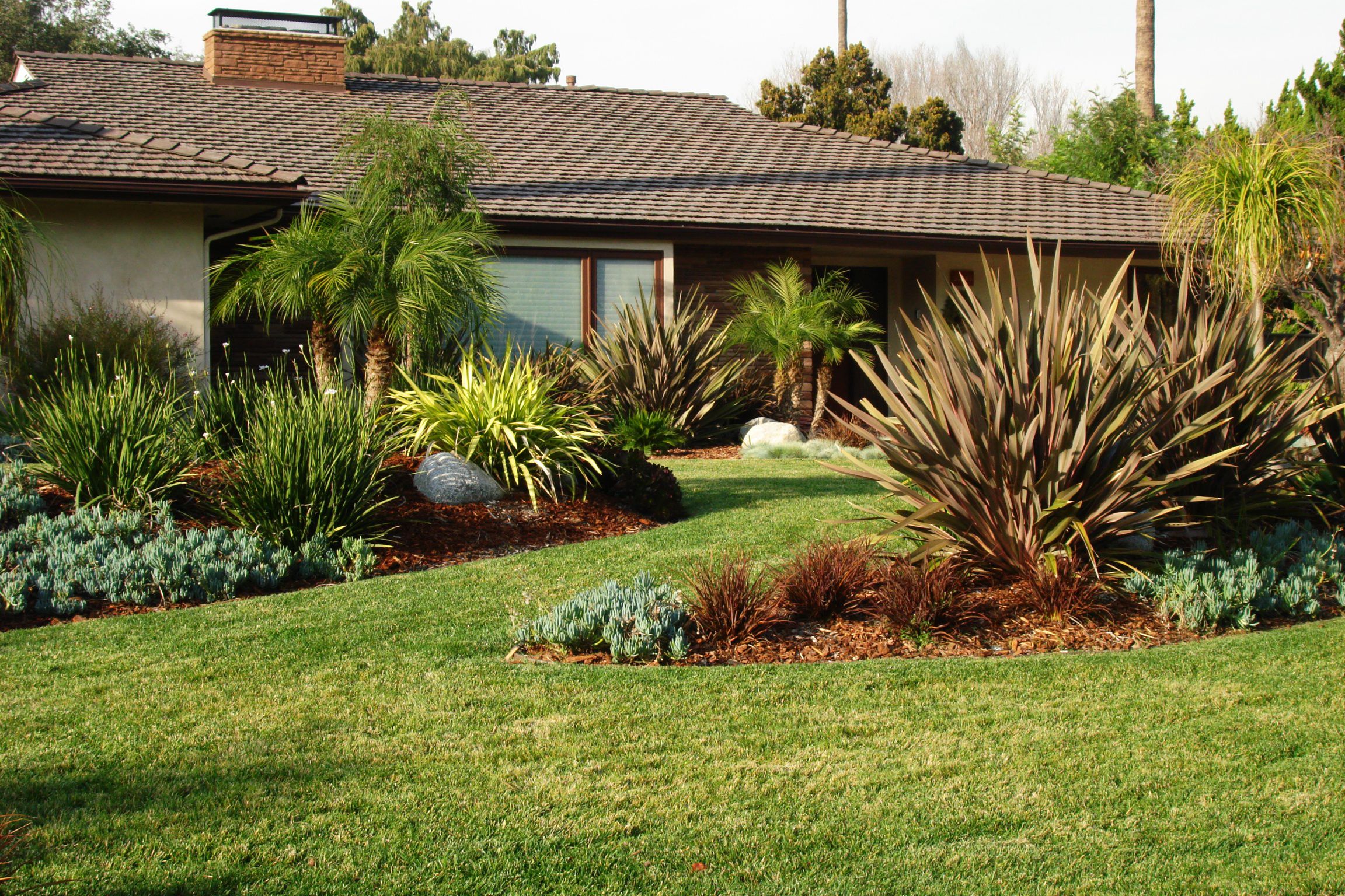 Drought Tolerant